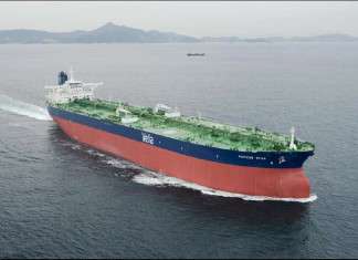 Acting CEO for Bahri named