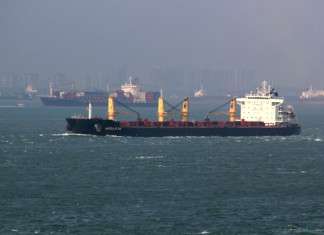 Jebel Ali handles biggest bulker yet