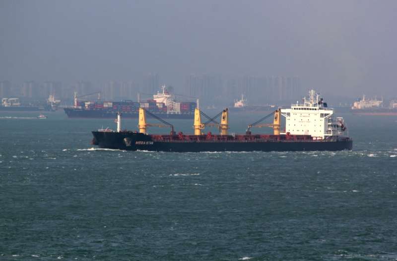Jebel Ali handles biggest bulker yet