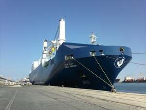 Bahri achieves strong results