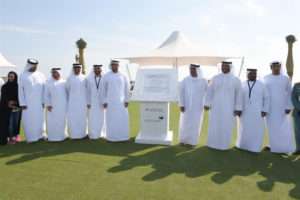 Sir Bani Yas Cruise Beach
