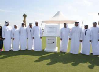 Sir Bani Yas Cruise Beach
