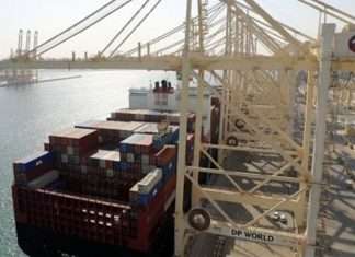 Jebel Ali container traffic was down last year as DP World concentrated on more profitable cargo flows