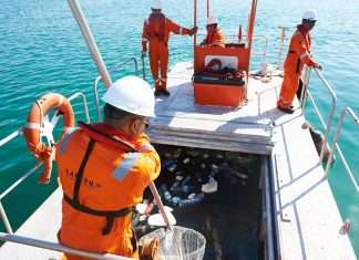 Safeen staff collecting marine waste from Abu Dhabi waters