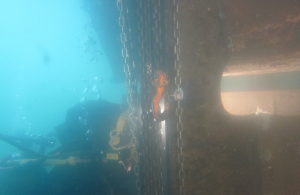 A Hydrex diver performing welding work on the rudder while the vessel was in Jebel Ali