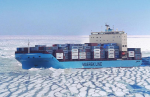 DP World plans to operate ports serving vessels transiting the northern sea route
