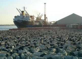 Livestock traffic moving through Saudi ports has increased significantly this year