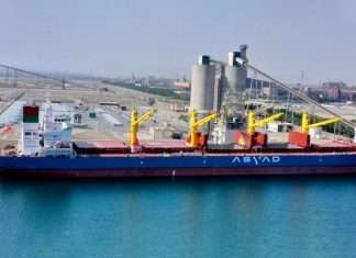 OSC has taken steps to increase its bulk carrier fleet