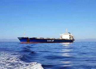 Safeen is entering the dry bulk transshipment sector having bought a second hand post-Panamax vessel