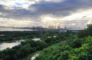JNPT is the biggest container handling port in India accounting for around 52% of the total containerised cargo volume (Photo Ramanad Jadhav)