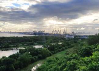JNPT is the biggest container handling port in India accounting for around 52% of the total containerised cargo volume (Photo Ramanad Jadhav)