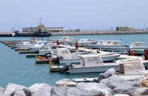 Delma port has benefited from a significant amount of new investment over the past three years