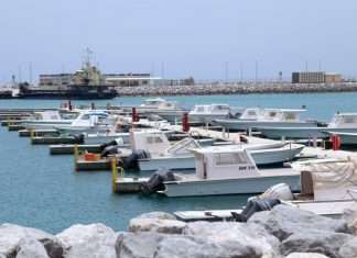 Delma port has benefited from a significant amount of new investment over the past three years