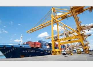 APSEZ witnessed a big jump in cargo volume in 2021/2, leading to record revenue and EBITDA