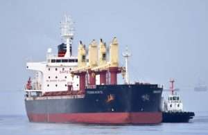 Tomini Norte, one of the seven bulk carriers acquired by Tomini in recent months