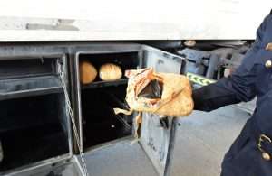 Drugs were concealed in various ways, but were detected on arrival at Khalid port in Sharjah by Customs inspectors