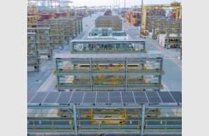 Solar panels on the QTerminals reefer stacks