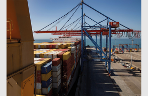 Now part of the Noatum business structure, Safina is a key player in the Egyptian maritime scene