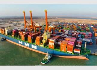The 36m long HMM Daon is part of the Premiere Alliance consortium operated by HMM, Yang Ming and Ocean Network Express