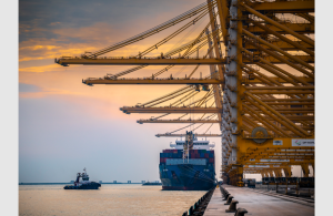 Jebel Ali has witnessed double digit growth over the first quarter of 2025