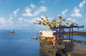 DP World’s Nhava Sheva terminal is operating more connections to China