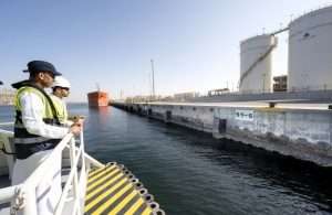 New living seawall panels at Jebel Ali
