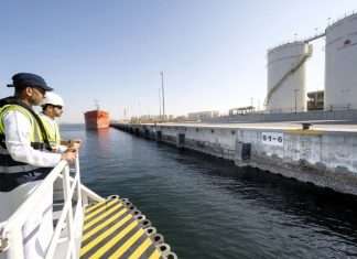 New living seawall panels at Jebel Ali