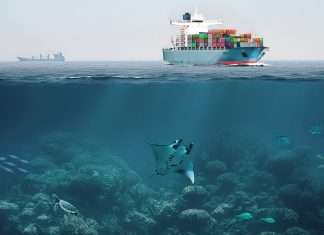 DP World is now part of an industry initiative to reduce the level of plastic in the world’s oceans