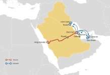 MSC introduces new Red Sea service