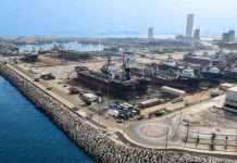 DMC achieves record dry berth occupancy