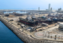 DMC achieves record dry berth occupancy